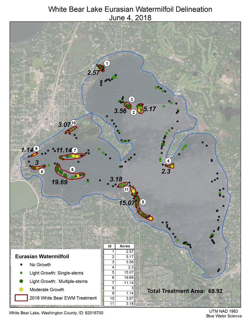 2018 White Bear EWM Delineation June 4