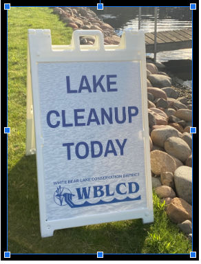 lake cleanup summer